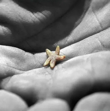 海星小时候也是很萌的,有图有真相