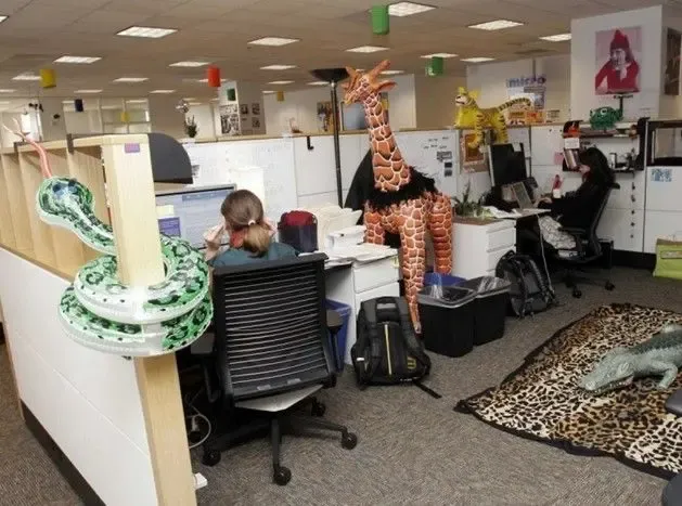 曝谷歌全球疯狂办公室中国白领简直在服苦役