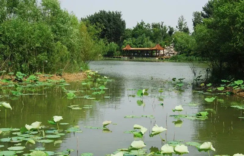 白浪河湿地公园 景点介绍:白浪河湿地公园,在潍坊人的眼里"如诗似画