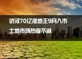 武汉70亿准地王9月入市  土地市场热度不减