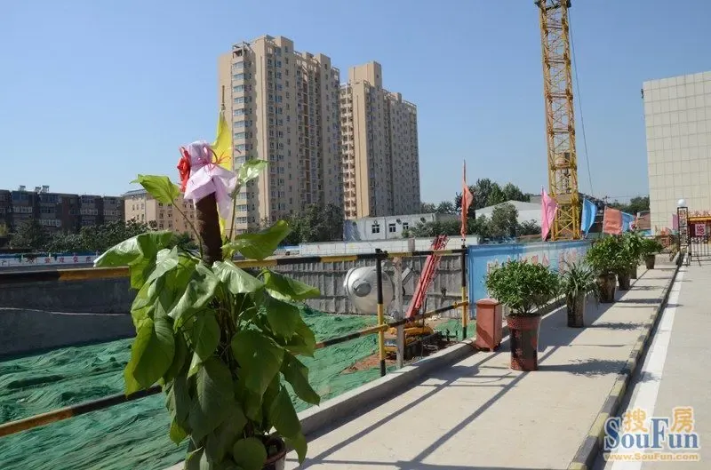 工地现场的绿植显示出勃勃生机