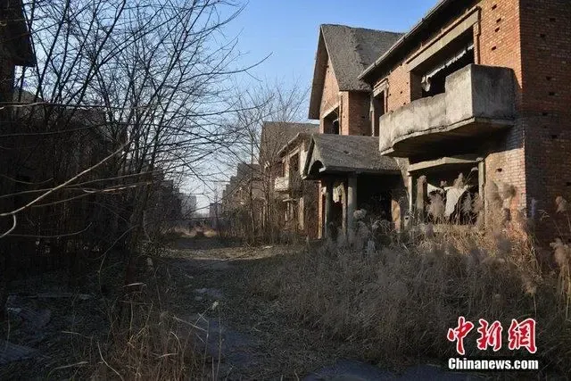北京烂尾别墅 爬满芦苇别墅