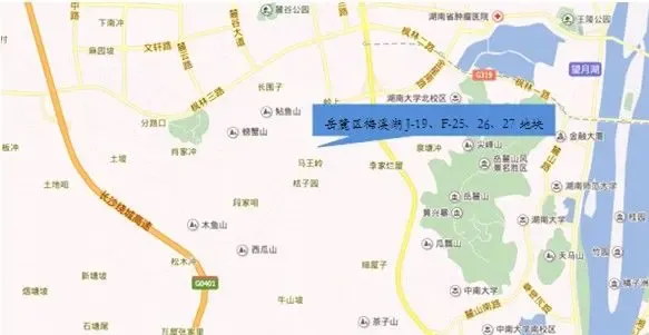 品牌房企扎堆长沙梅溪湖片区 卓越12.66亿元摘梅溪湖商住地