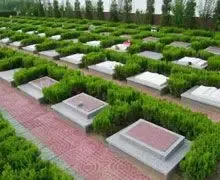 上海墓地比房价贵十余倍 网友直呼死不起