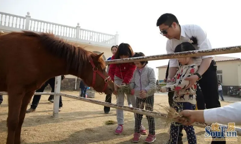 "春日总动员"大陆小骑士团乡居大集结活动圆满落幕_房产资讯-唐山房天