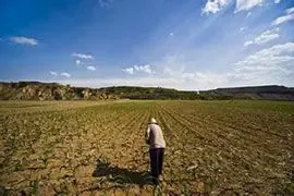 市规划国土委:深化土改 打造新型管理体系