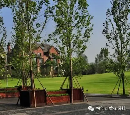 茶园鹿角片区进阶城市新中心融创造重庆最大富人区