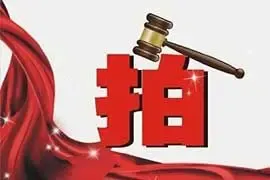 山东省青岛市国有土地使用权拍卖出让公告