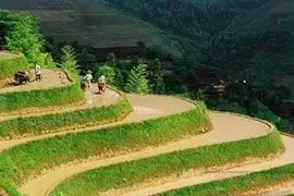 我国对农村集体土地使用权具体规定有哪些?