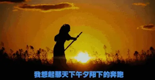 夕阳下的奔跑