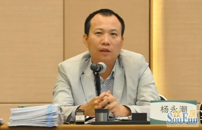 集团碧桂园杨永潮董事广告就如剥橙子