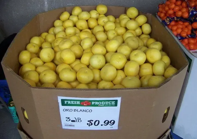 美国洛杉矶超市超便宜的物价