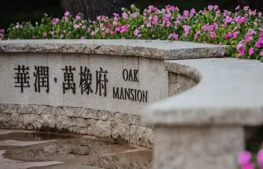 【开盘】刚需新盘直降51万元入市 直击三居名企盘