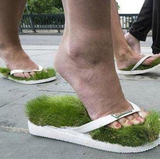 草坪拖鞋