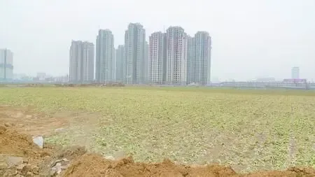 底价成交流拍现象频现 昔日地王风光不再