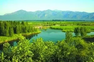 北京百万亩平原造林完成 腾退土地15万亩