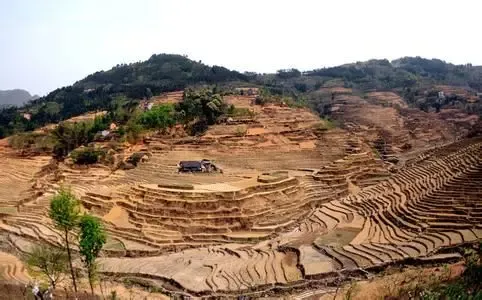 120宗地块亮相重庆土地推介会多达7600亩