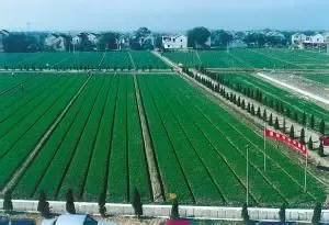 发改委：土地出让金10%用于农田水利执行并不好