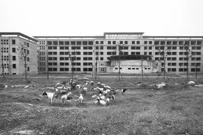 多地带病开建豪华“官衙”成“烂尾”