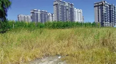 上海静安政协：用人力资源弥补土地资源不足