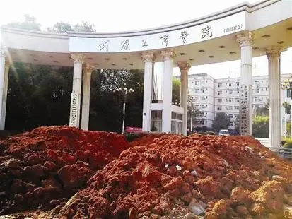 武汉高校因土地纠纷 深夜遭200吨渣土堵门