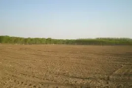 为争议土地提供办证方便 村干部受贿30万