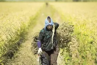 土地改革总体框架接近完成 最快年内出台