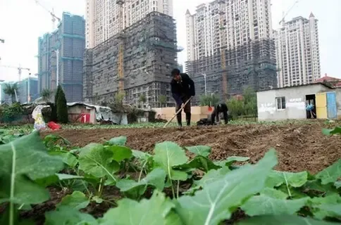 住建部官员:农村集体建设用地可参与城镇化