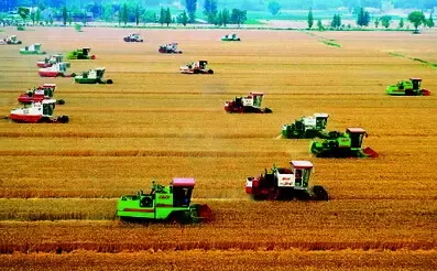 农村土地经营权流转：解决机械化 提高了亩效益