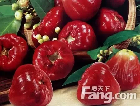 盛唐·碧水芸天3.97分