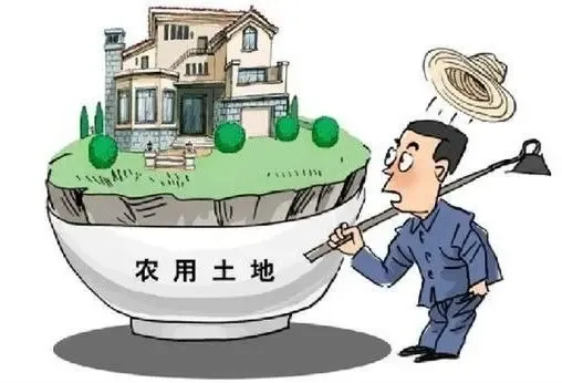 宝贵耕地“起死回生” 被占耕作层土壤有望再利用