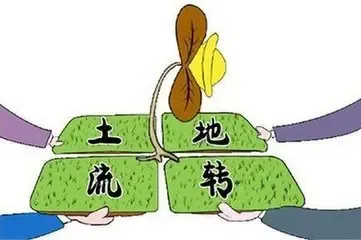 林垂午：建议完善农村集体建设用地流转政策