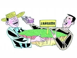 四省市开展土地经营权试点 山东成为试点之一