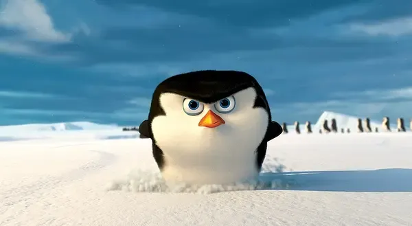 企鹅们也要回南极了!