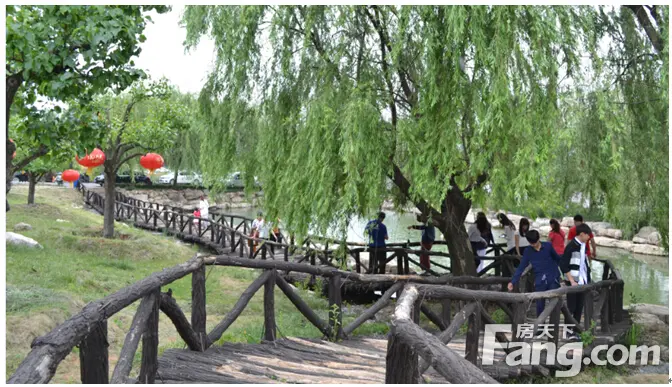 青啤早安时区