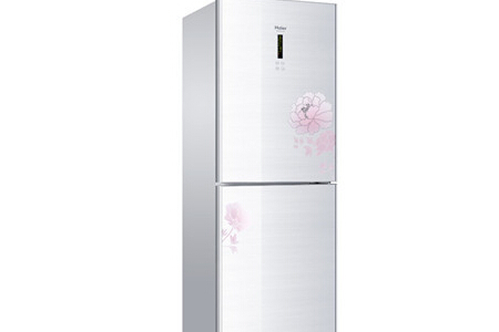 冰箱牌子排行榜怎么样？冰箱挑选的小窍门都包括哪些？
