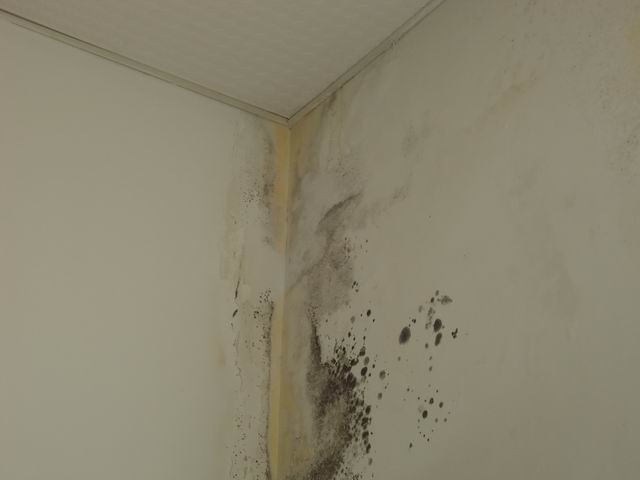 外墙漏水处理方法是什么 外墙漏水的原因有哪些