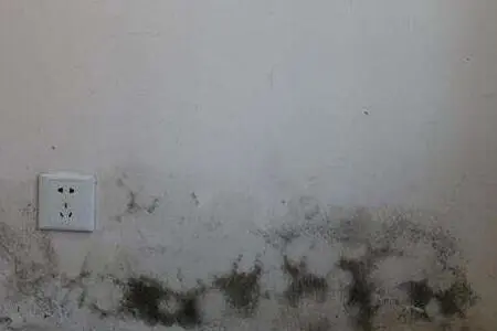 墙面渗水的原因？墙面渗水怎么处理？