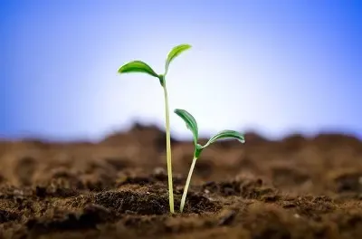 杭州临安探索农村土地确权流转 让农民“坐地收钱”