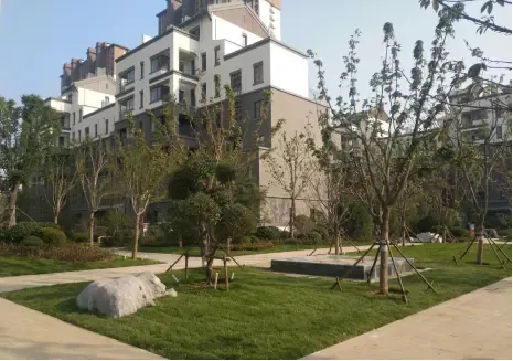 不负期待鲁商运河公馆二期别墅洋房新品火热加推