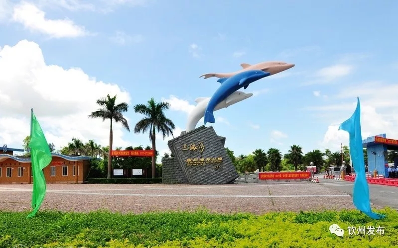 钦州白海豚国际酒店图片