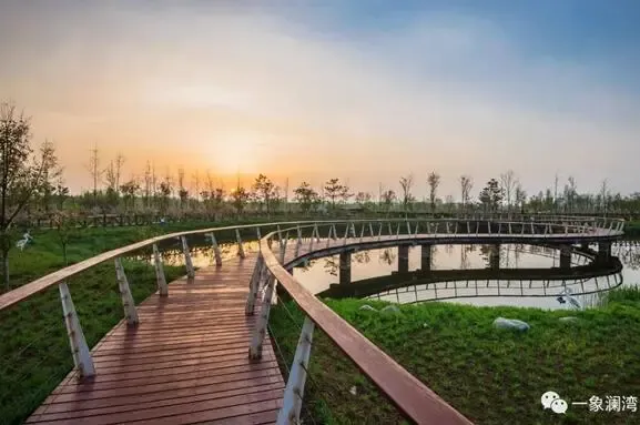 项目东侧千亩湿地公园,漫步森林里,鸟语花香的晨境.