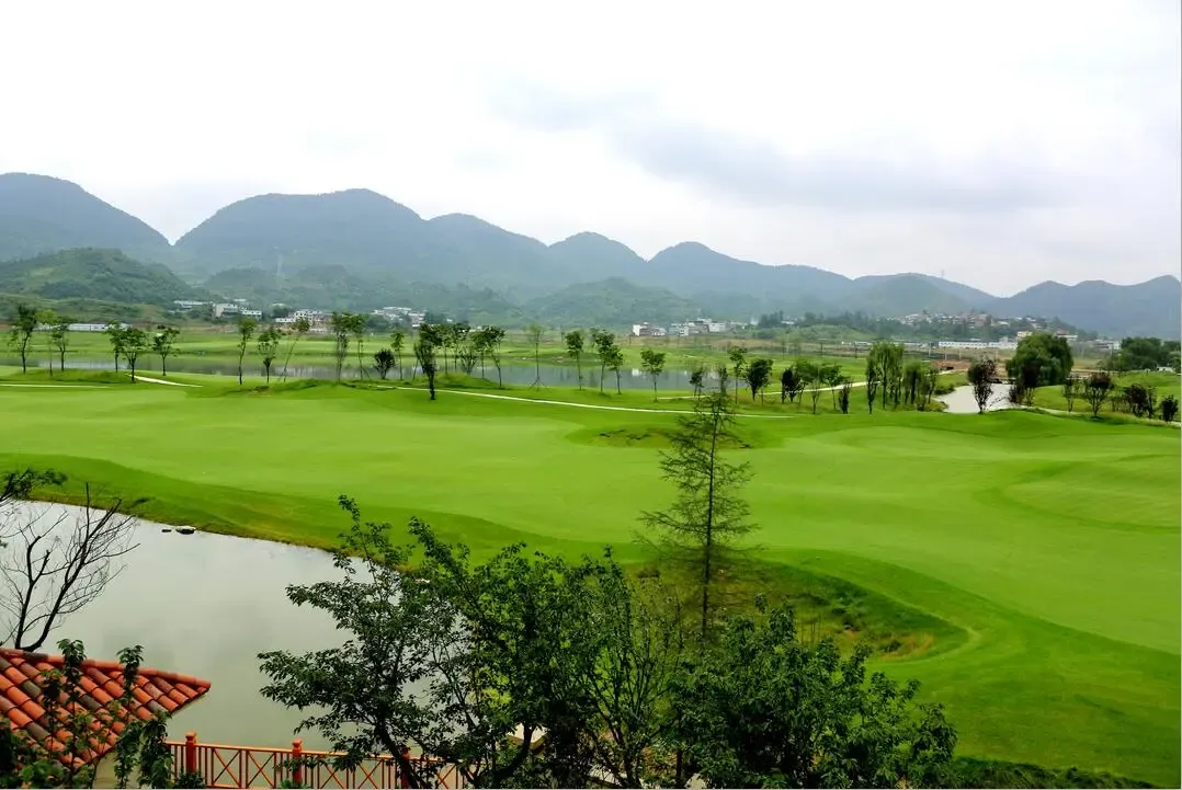 造 品质产品 乐湾成就经典生活