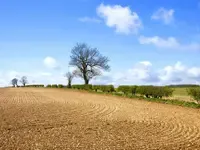 土地确权后新迁户口能否分到地？如何申请宅基地？