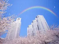 供求两端较上周走低 出让金总额环比降近八成