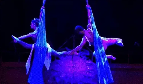 示意图泰国鳄鱼展露婀娜身姿于此慢摇姿势高贵的南非骆驼昂首阔步