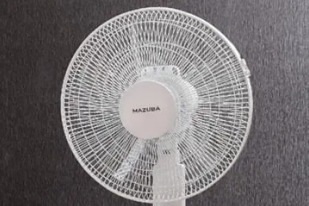 3路,花山谜窟专线,旅游观光线,游2路公交线路临时调整_房产资讯-黄山