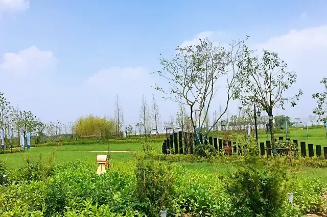 首届奥伦达部落崇明岛小镇杯足球邀请赛暨房车酒吧开幕