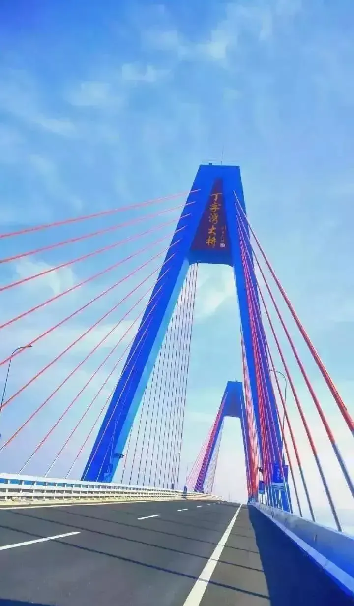 海阳丁字湾大桥拿奖了!