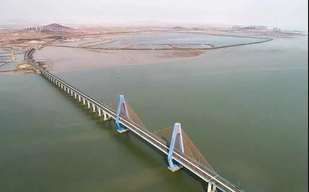 海阳丁字湾大桥拿奖了!